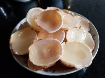 step1: 海底椰