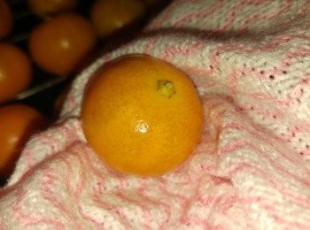 step4: 用乾淨毛巾抹乾水份。