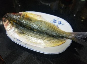 step4: 用薑黃粉，胡椒粉，雞粉塗抹在魚身上醃 20 分鐘