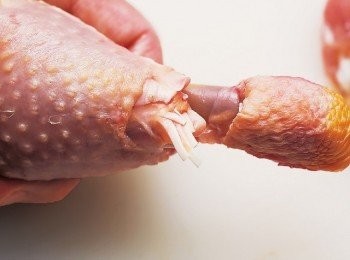 step2: 從距離棒腿肉邊緣約2㎝處下刀，繞一圈切斷肌腱。用刀尖將肉往邊緣靠攏，塑形成丸狀。(又粗又強韌的肌腱如果不切斷，受熱時會大幅緊縮而拉扯肉塊，導致煎煮困難。)