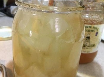 step7: 將蘆薈粒和蜜糖水倒入玻璃樽內蓋好