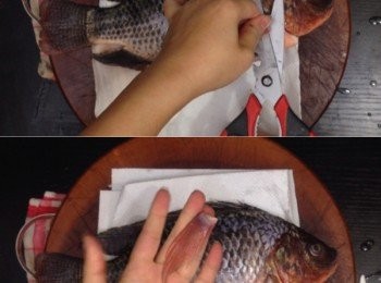 step3: 再剪去魚鰭