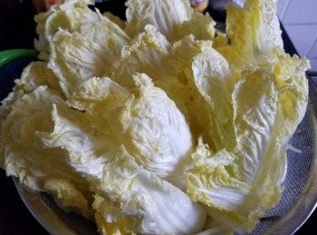 step1: 紹菜