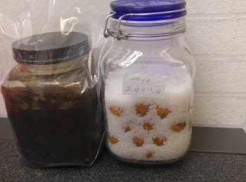 step9: 直至鋪完最後一層要鹽蓋頂。