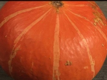 step1: 1 個中型南瓜。