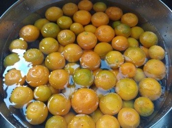 step2: 將柑桔浸水一兩小時, 然後用毛巾抹乾淨。