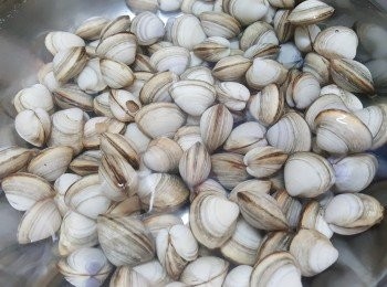 step1: 先將蜆用鹽水浸15分鐘，備用。
