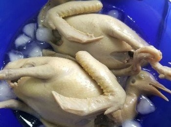 step3: 撈起放冰水，等鴿皮極速收縮，可減少焗時爆皮嘅機會。