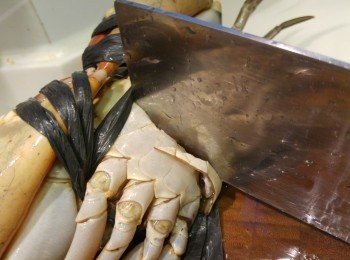 step4: 蟹可以要求魚檔代劏或自己動手, 蟹只需反肚用刀斬入蟹中間, 過一會兒蟹會自動死去。