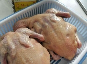 step1: 先洗淨乳鴿抹乾，在鴿身上抹少少鹽，待 15 分鐘。