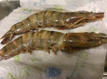 step2: 鉸剪剪去尖角和腳, 再剪開蝦背第二至第五塊蝦殼, 再用刀𠝹開少許蝦肉挑走蝦腸。蝦用廚紙索一索水份。