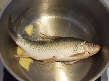 step3: 在鍋中放少許油, 加熱後炒香薑片, 放入鯪魚兩面煎香