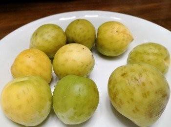 step2: 將插了孔的梅子放好備用。