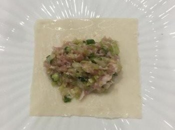 step5: 取一湯匙<span class="group_2">內餡</span>，橫放在餛飩皮中間，四週用沾水的手指沾濕，