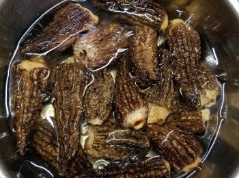 step1: 將32g羊肚菌洗淨後,用水浸軟,約30分鐘以上隔去水份(浸洋肚菌的水留待煮菜或煮湯)