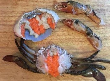 step3: 著處理螃蟹，用刷子將螃蟹殼都刷洗乾淨，接著拿尖刀從蟹心刺入，便可以除去綁繩，刷洗蟹腳和螯，並剪去腹部和蟹腸，扳開蟹殼，減去蟹殼上的蟹嘴，再除去螃蟹身上兩邊的蟹腮和正中間的蟹心，用流動水清清的衝洗乾靜即可。