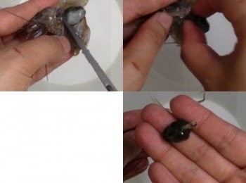 step4: 先用剪刀由囊頂剪一下，之後用手輕輕拔走沙囊