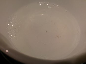 step3: 就算養過浸過的蜆都有機會帶有沙石, 可隔去沙石做勝瓜上湯或改用雞湯用作上湯。