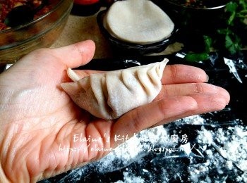 step11: 1小時後將適量餡料放上餃子皮中間位置 , 再對摺封口