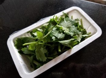step9: 芫茜