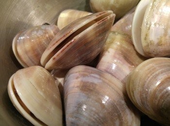 step2: 滾水落蜆烚一陣, 見到蜆微開口即撈起。