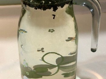 step1: 綠茶葉倒入冷開水中，放入冰箱冷藏至隔天