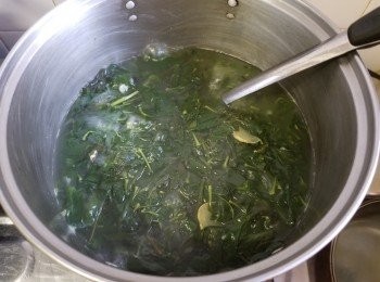 step11: 做法：

將枸杞清洗後，將葉摘出菜梗不要，用少少油，薑片炒至軟身及出水，再用筲箕將水份隔出備用。

鯪魚肉用少少麻油，雞粉，生粉，胡椒粉撈好，用約 2.5 公升水，將鯪魚肉搓成球，水滾放入滾 45 分鐘再撈起，預備做另一個餸菜。

將隔出水份的枸杞放入，滾多 20 分鐘，加入 1 茶匙雞粉，熄火焗 20 分鐘，飲用前大火滾起，完成。