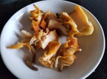 step11: 螺頭取出後切片