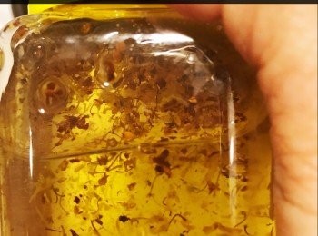 step7: 先把桂花糖內的桂花隔走， 然後倒入桂花水中拌勻， 看看桂花水總量， 是否達到1200ml, 如不夠就另外加凍滾水至1200ml, 待完全涼透， 把魚膠粉分兩至三次倒入， 慢慢拌至魚膠粉溶解，再用小火稍為再煮一下， 幫助魚膠粉進一步溶解，再隔篩，待完全涼透才可以再做下一步。