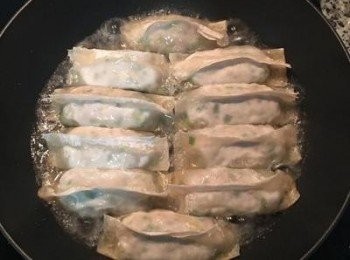 step9: 加入淹到鍋貼高度一半的水，蓋鍋蓋中火煎燒到水乾即可。