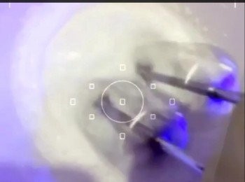 step1: ～魚膠粉加水座溶 待用
～淡忌廉用電動打蛋器打起至軟身。
～雞蛋加入砂糖用快速打至奶白色，加入已回溫的Mascarpone Cheese及雲喱拿香油用膠刮拌勻。
～將已混合好的芝士糊加入淡忌廉攪勻，再加入魚膠粉拌勻 待用