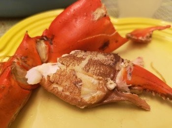 step8: 用分段焗蟹，蟹肉不會過熟。