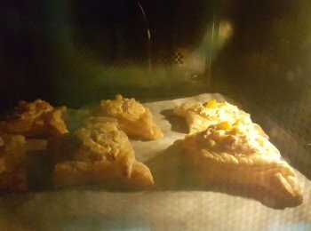 step8: 將蛋液塗在酥皮上，以180度，烤焗15分鐘即可。