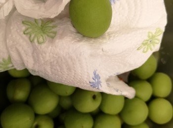 step2: 隔去水份可用毛巾或廚紙索乾水份，順便篩選一下梅子，將有爛或太花皮的梅唔要。