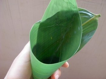 step2: 買來的粽葉要提前一天洗淨晾乾然，隔天再使用前水煮或用熱水燙軟，糯米洗淨，控水
栗子，我習慣先煮熟了再包