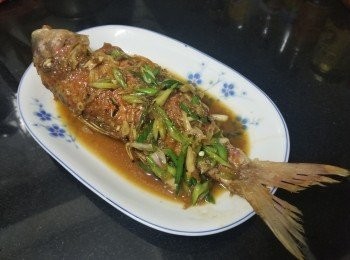 step7: 將三鬚魚清洗後 , 用 1 湯匙鹽醃 3 小時 , 之後將未溶化多餘的鹽抹走 , 再用廚紙吸乾水份 , 用 1 茶匙生粉將三鬚魚上好生粉 , 燒紅油鑊放入三鬚魚 , ( 用中火便可以 ) 先煎封一邊約 2 分鐘 , 再反轉煎 2 分鐘 , 之後放入蒜頭 , 乾蔥少少爆香後 , 稍為收細少少火 , 再放入薑絲 , 麻油 , 少少生抽 , 糖 , 蔥花 , 加少少水蓋好煮滾 , 完成 .

注意 - 冰鮮魚如不是即時食用 , 會再冷凍的話 , 須預早 2 -3 小時取出 , 等魚身可回覆常