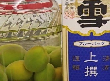 step7: 酒樽需消毒，可用蒸爐80度蒸10分鐘，或用熱水清洗樽再用酒抹乾淨。第一次入樽只需放梅和酒。第二個月只需落三份一糖，第三個月只需落三份一糖，最後一次可試味，決定糖是否落埋最後三份一或更多糖。（最後我只落100克）