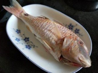 step1: 三鬚魚