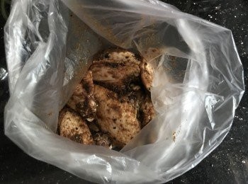 step4: 將所有調味料混合後，撈勻<a href="https://bit.ly/3zHU5V3" target="_blank" data-keyword="雞翼" class="guide-link"><strong>雞翼</strong></a> <span style="display:inline-block;vertical-align:middle;margin-top:-3px;color:initial;border-radius:3px;padding:2px 3px;font-size:12px;line-height:14px;background:#87d300;color:#fff;">即買</span> ，放入雪櫃冷藏4小時以上