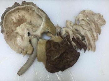 step8: 撈起豬肚對剖開後，切薄片；小腸則是剪成適當大小；