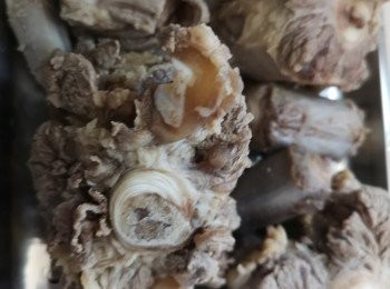 step1: 先將牛尾用薑蔥汆水，再將疏菜材料斬件，跟平時煲湯一樣，煲約30分鐘撈起牛尾，湯可以跟平時煲湯時間繼續煲，牛尾撈出後用牛尾醃料醃半小時，之後用鑊略為煎一煎牛尾表面。