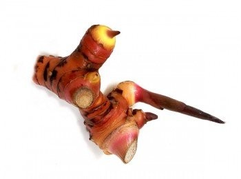 step8: 細看南薑長這樣