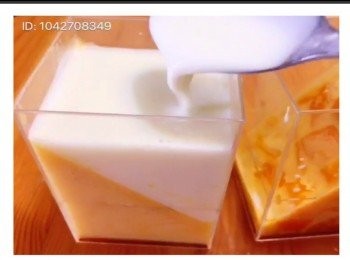 step8: 牛奶布丁做法：
用150克牛奶加入魚膠粉加入砂糖用熱水座溶攪至冇粉粒，然後倒入剩餘100克牛奶拌勻、
再倒入淡忌廉拌勻待涼。
取出已雪了4小時的芒果布丁杯，倒入巳待谅的牛奶布丁 雪5小時以上 便可