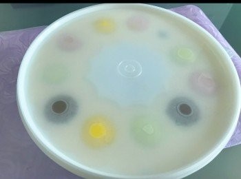 step17: 蓋好蓋後放雪櫃雪至少4小時。