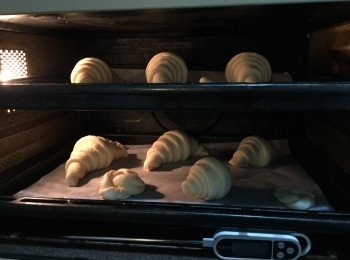 step13: 將牛角包麵團放入焗爐，焗爐底部放一碟水，然後關上焗爐門發酵，焗爐內溫度不能超過28度，否則牛油會溶化。發酵時間為2-2.5小時。