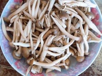 step2: 舞菇用濕毛巾擦淨備用