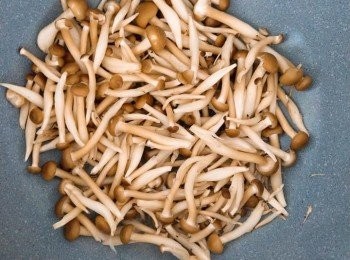 step4: 舞菇放在鍋中等待水出來，之後可以加少許的鹽來加速產出菇類的精華水，加上油轉中火快速炒一下