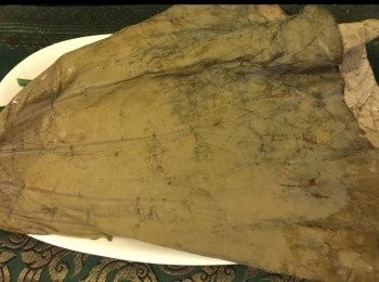 step2: 荷葉 1塊，用熱水浸10分鐘後，洗淨及抹乾備用