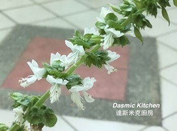 step1: A. ❮收取種子❯：
【羅勒】為一年生植物， 最好在頂端一長出花苞就立刻摘除，可以延緩其老化;  但是有些花苞冒出速度極快，來不及剪除，