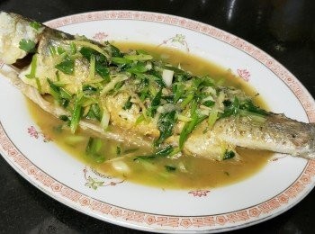 step5: 將烏頭清洗後 , 用廚紙吸乾水份上好生粉 , 燒紅油鑊放入烏頭煎封兩面 , 放入後轉中火 , 每邊煎約 1 分鐘 , 之後放入蒜頭 , 乾蔥 , 薑絲 , 麻油贊少少黃酒 , 加約 200ml 水 , 糖 , 雞粉 , 少少胡椒粉 , 蔥花蓋好焗煮約 1 分鐘 , 最後加多少少麻油上碟 , 完成 .